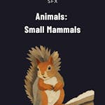 Animals: Small Mammals