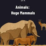 Animals: Huge Mammals