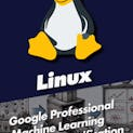Google Professional Machine Learning Engineer Certification with Generative AI and 20 Practice Exams