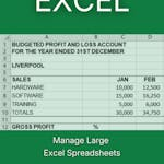 Manage Large Excel Spreadsheets