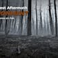 Burnt Forest Aftermath Environment