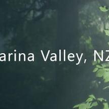 Wakamarina Valley, New Zealand