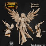 Paladin Aasimar