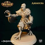 Aarakocra