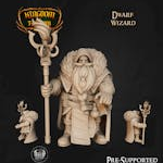 Dwarf Wizard