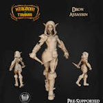 Drow Assassin