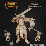 Dragonborn Knight