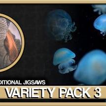 Pixel Puzzles Traditional Jigsaws Pack: Variety Pack 3