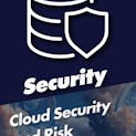 Cloud Security and Risk Management