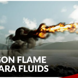 Dragon Flame Niagara Fluids