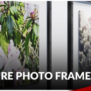 Nature Photo Frames