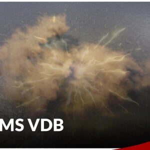 Storms VDB