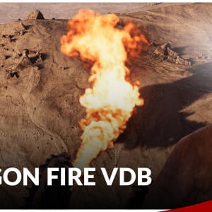 Dragon Fire VDB