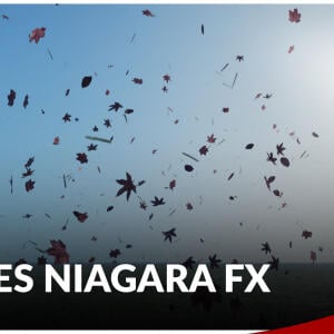 Leaves Niagara FX