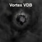 Vortex VDB