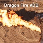 Dragon Fire VDB