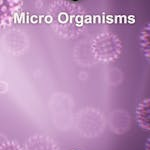 Microscopic Organisms