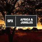 Africa & Jungles