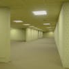 The Backrooms