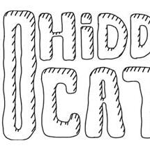 100 hidden cats