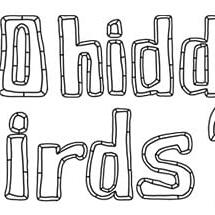 100 hidden birds 2