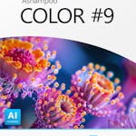 Ashampoo COLOR #9