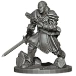 The Warrior - Injured