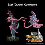 Baby Dragons