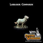 Labrador