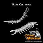 Giant Centipedes