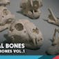 Bones VOL.1 - Animal Bones