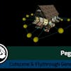 Pegasus - Flythroughs for Unity 6