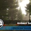 Ambient Sounds - Interactive Soundscapes for Unity 6