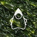The Complete Java Developer Course: From Beginner to Master