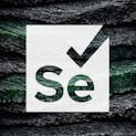 Selenium WebDriver with Java - Basics to Advanced and Frameworks