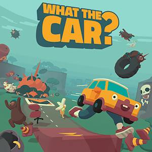 WHAT THE CAR?