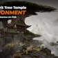 Asian Spirit Tree Temple Environment