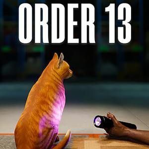 ORDER 13