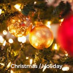 Christmas / Holiday