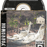 Dry Animal Bones - Photoscan Vol 2.