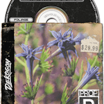 Foliage VOL.10 - Yard Plants (Nanite and Low Poly)