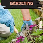 Home Gardening Ebook