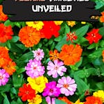 Floral Varieties Unveiled - Ebook