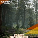 Forest Environment