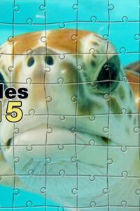 Pixel Puzzles Bundle 15