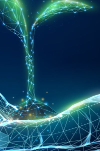 Ultra High Quality Unreal Engine Environment Bundle