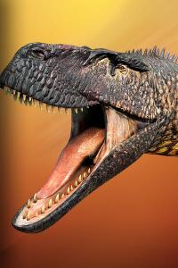 Sovereign Sandbox Bundle