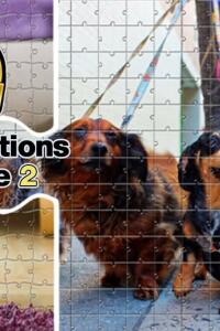 Pixel Traditions Bundle 2