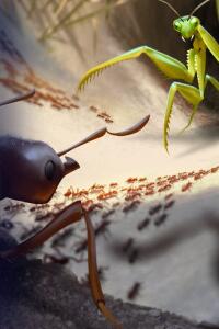 Speak to the Manager