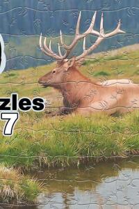 Pixel Puzzles Bundle 7
